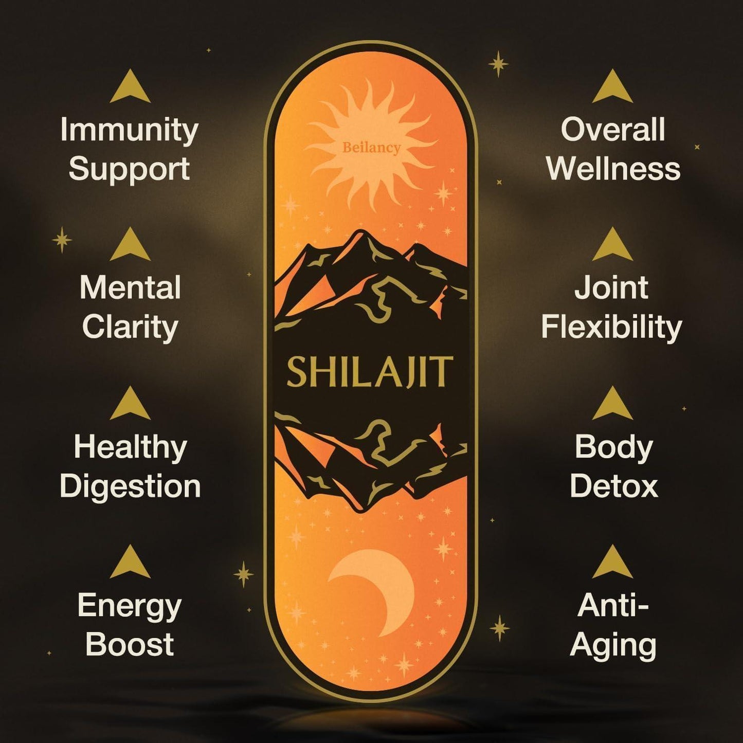 Beilancy Himalayan Shilajit Resin Liquid Supplement, Shilajit for Men and Women with Fulvic Acid, Iron, and Magnesium for Energy and Health Support, 50 g, 2 Month Supply